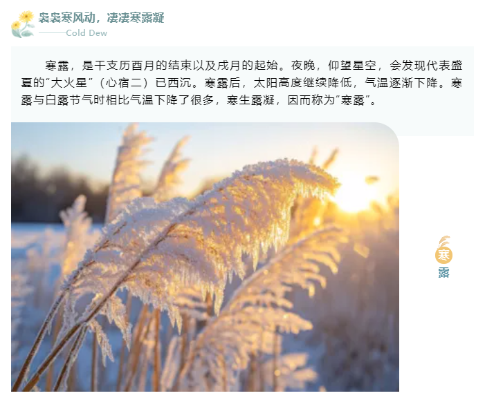微信图片_20241008084421.png